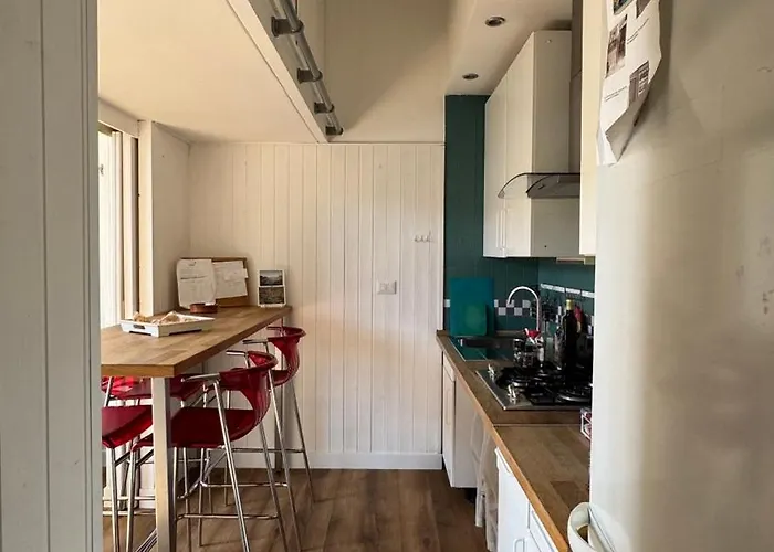 The Rica House